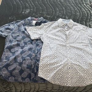 Stylish Men's Button-Down Shirts in Blue and White